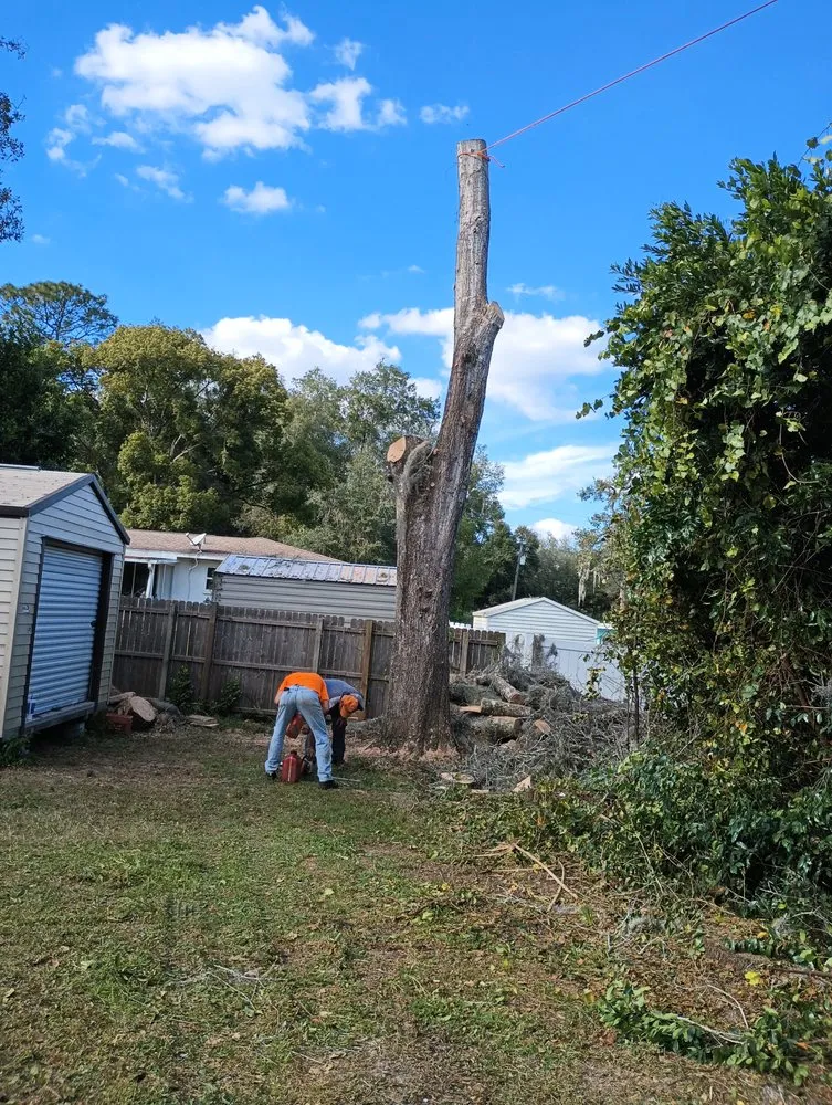 Top-rated landscaping services in Lecanto, FL - Pages Lawn & Tree Service