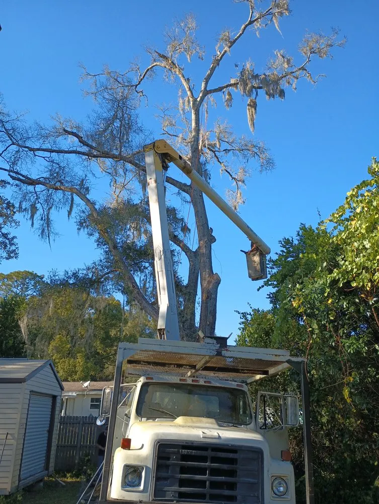 Reliable garden landscaping for residential properties in Lecanto, FL by Pages Lawn & Tree Service