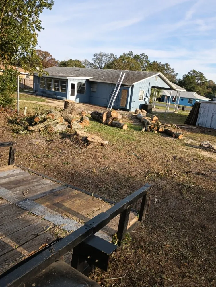 Custom lawn care service for year-round maintenance across Lecanto, FL - Pages Lawn & Tree Service