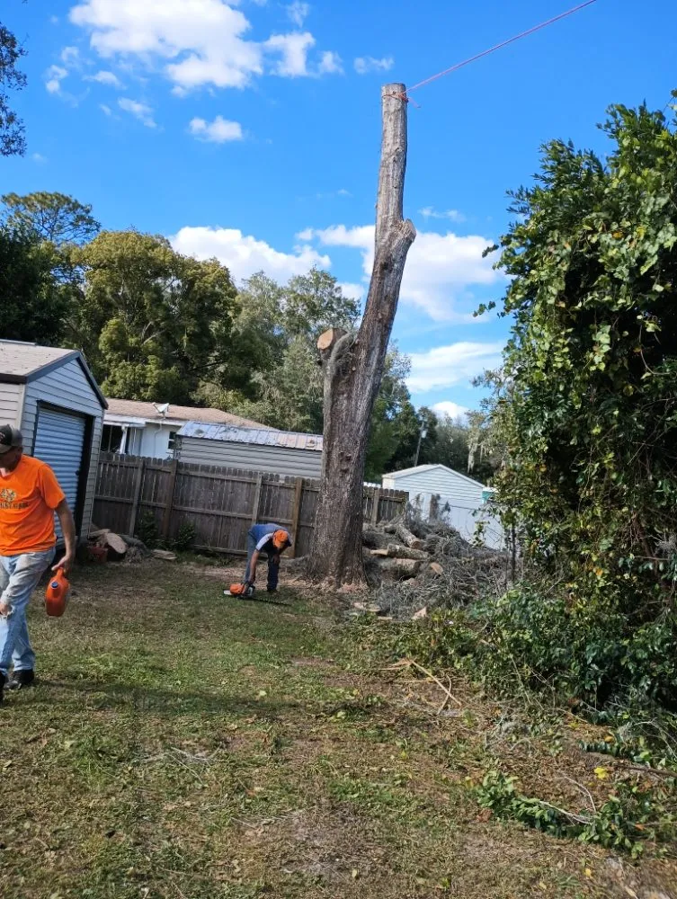 Affordable landscaping services in Lecanto, FL - Pages Lawn & Tree Service