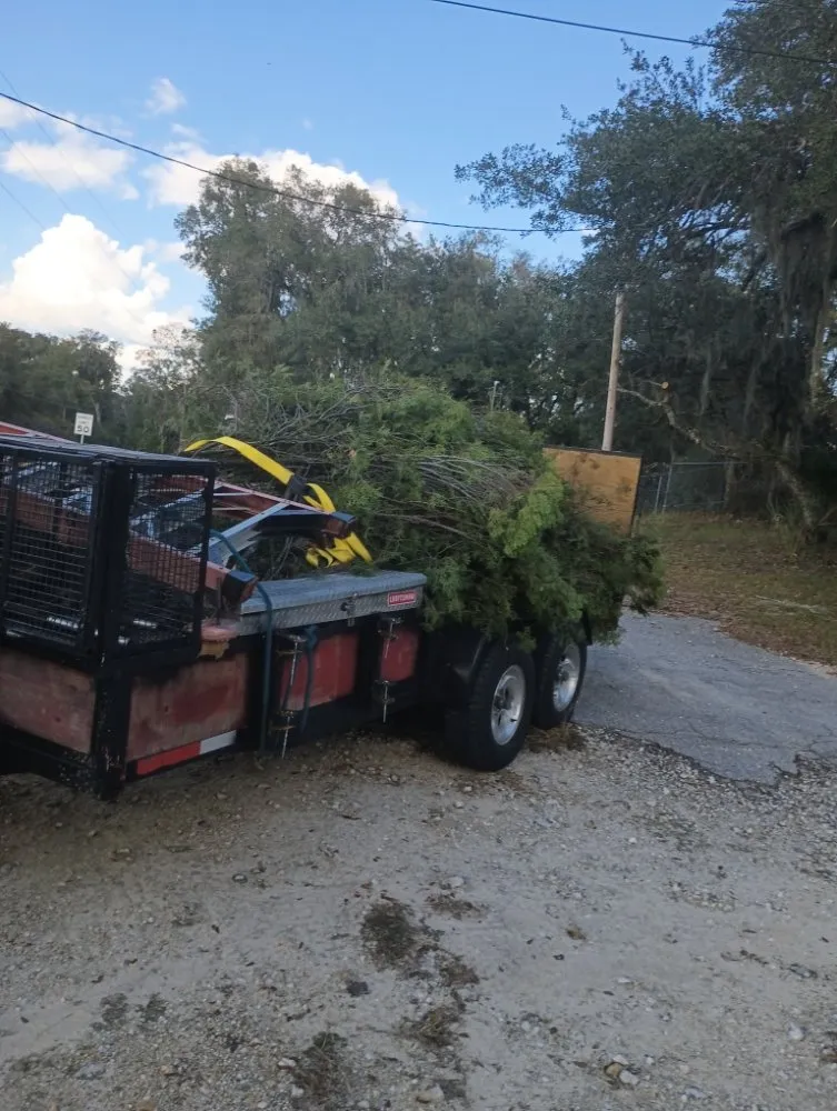 Local landscaping services in Lecanto, FL by Pages Lawn & Tree Service
