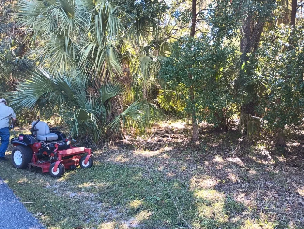 Reliable yard cleanup service for beautiful yards across Lecanto, FL - Pages Lawn & Tree Service