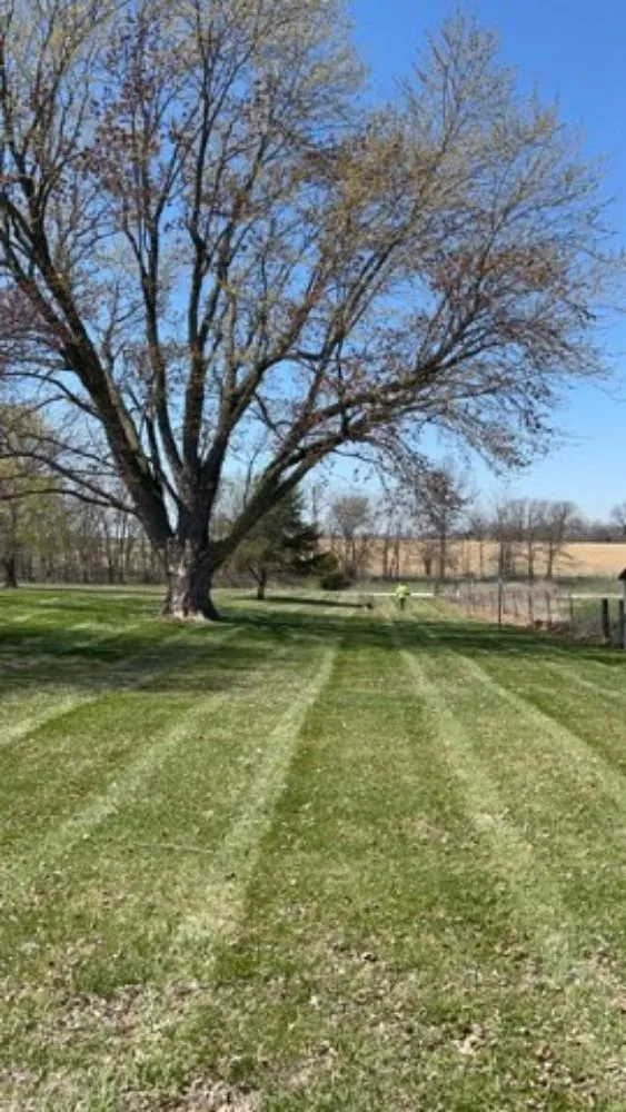 Custom lawn care service in Holden, MO - Pages Lawn Service
