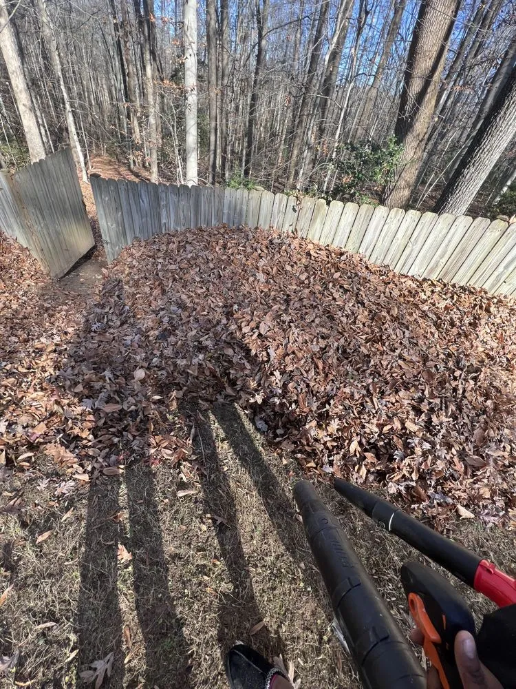 Professional landscape design in Dale City, VA - Pages Lawns & More