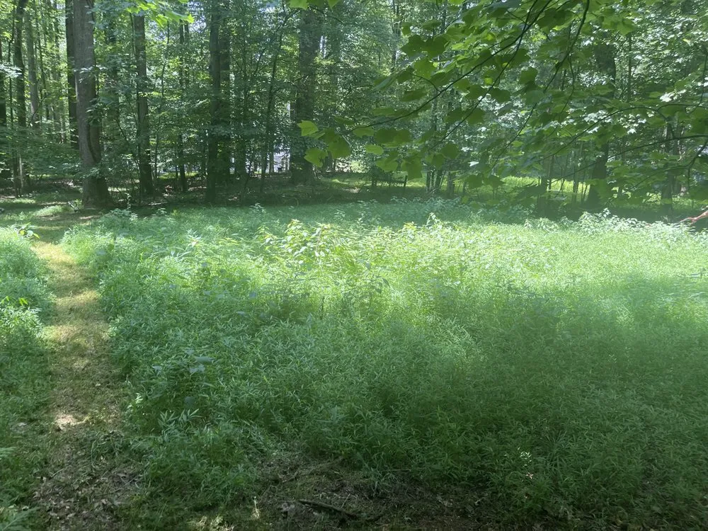 Top-rated landscape design for residential properties in Dale City, VA by Pages Lawns & More