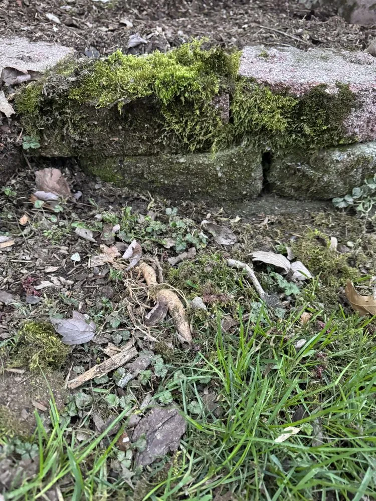 Reliable landscaping services experts serving Boonville, IN - Pages Pressure Washing and Lawn Care