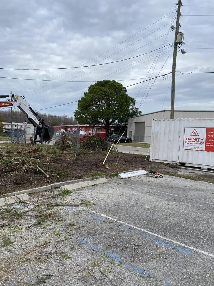 Expert outdoor landscaping in Odessa, FL - Paggio Property Services