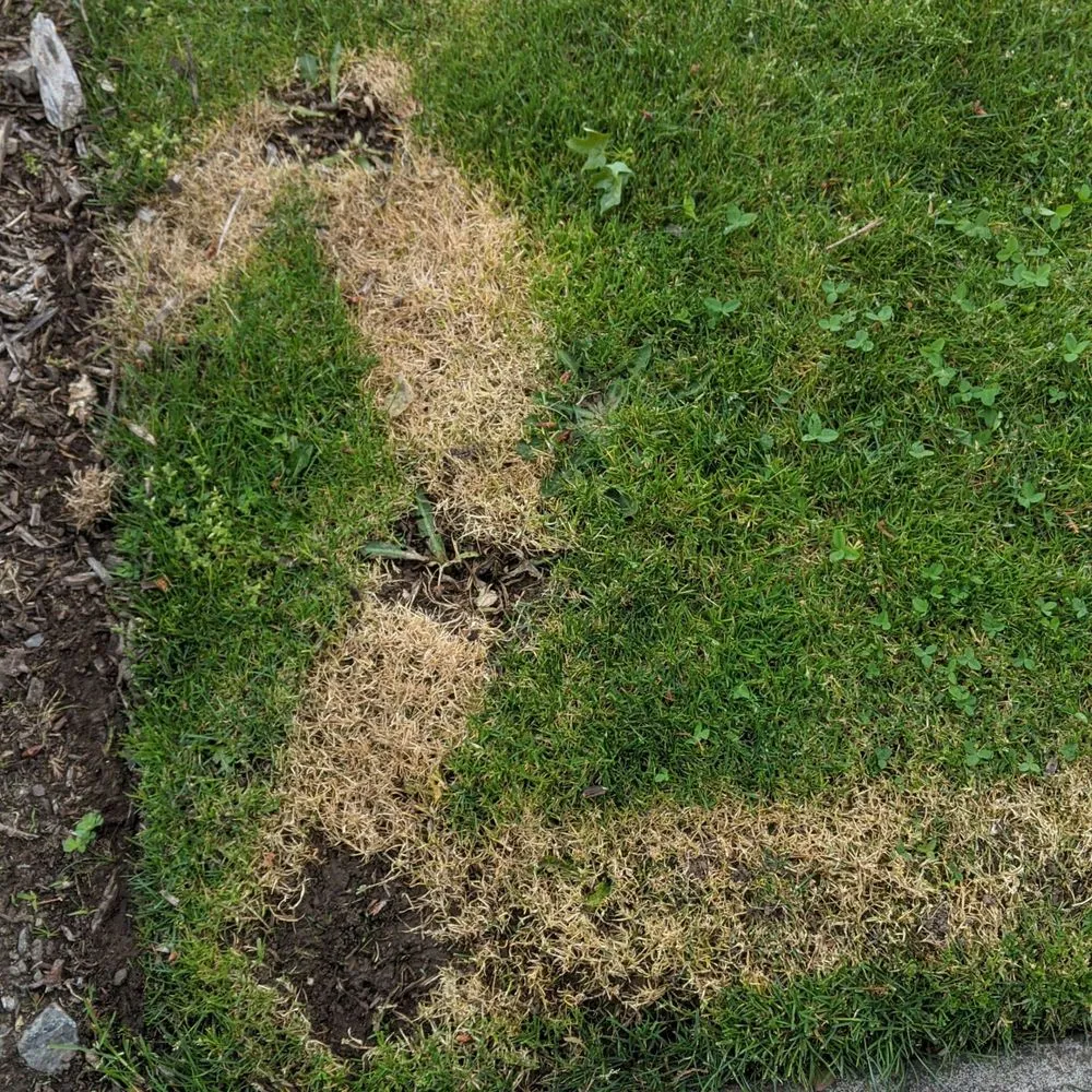 Trusted garden landscaping in Eugene, OR by PAH Weed and Pest