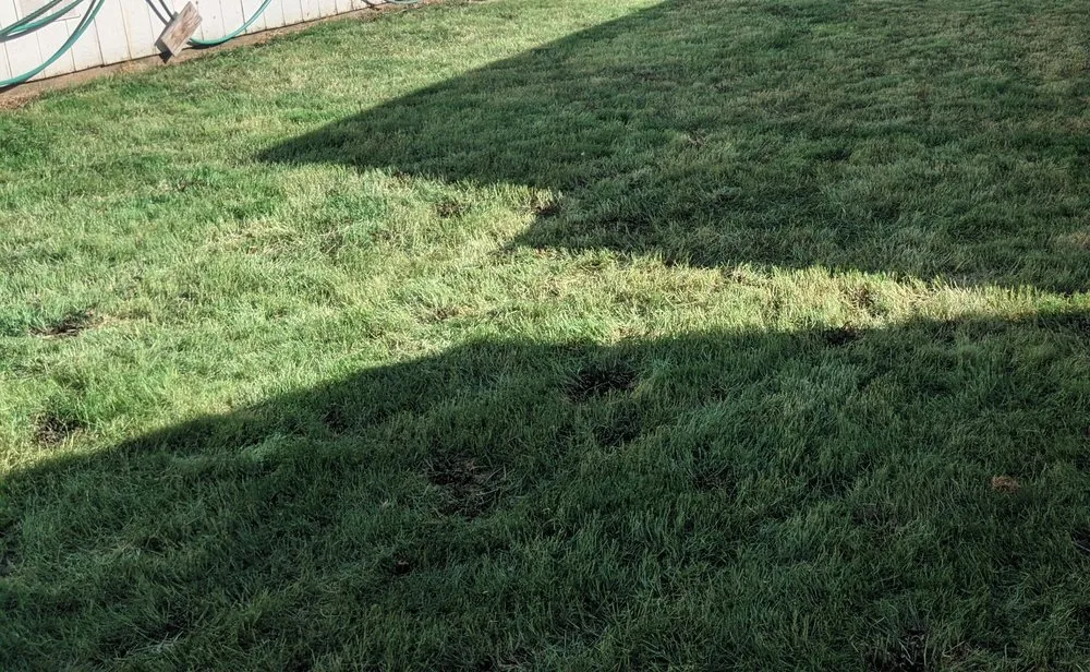 Top-rated landscaping services in Eugene, OR - PAH Weed and Pest