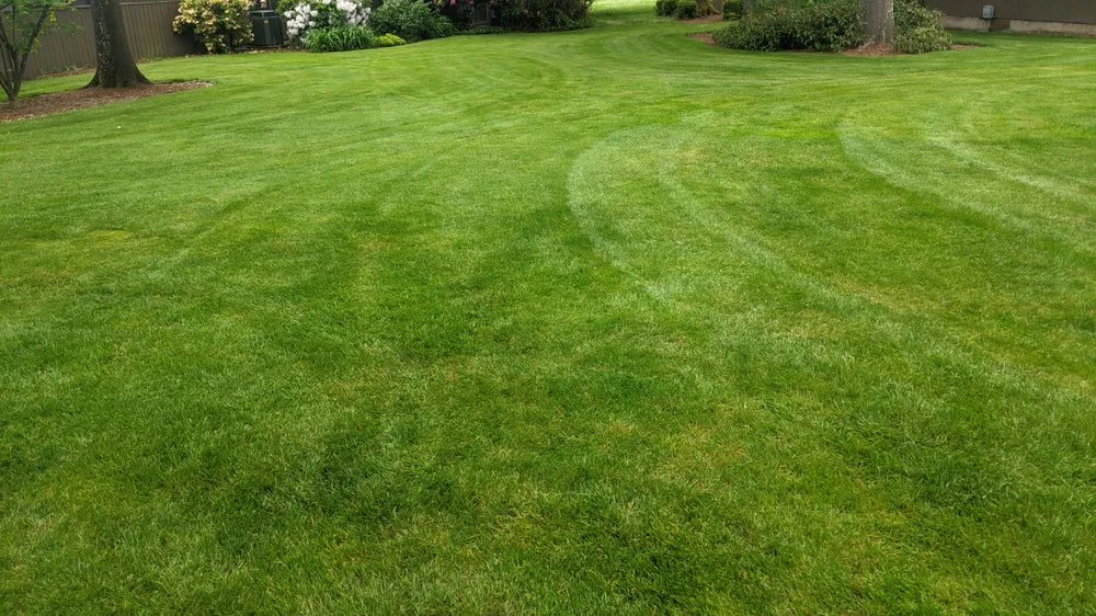 Trusted landscaping services in Eugene, OR by PAH Weed and Pest