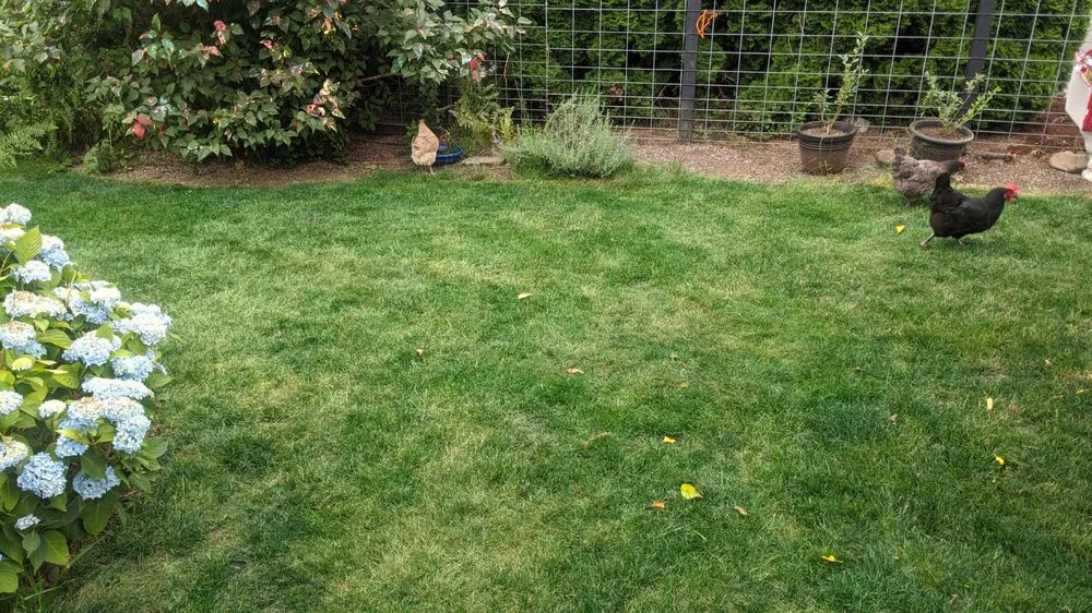 Professional landscaping services for outdoor upgrades across Eugene, OR - PAH Weed and Pest