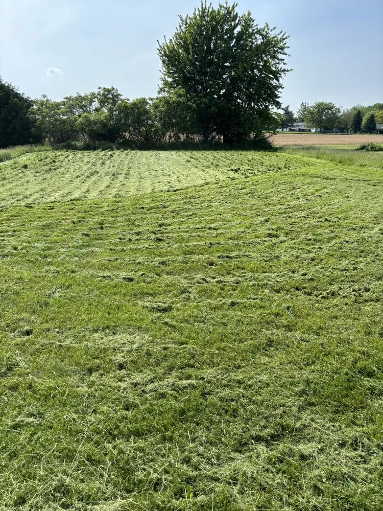 Reliable lawn care service for residential properties across Oakfield, NY - Pahuta Brothers Landscaping