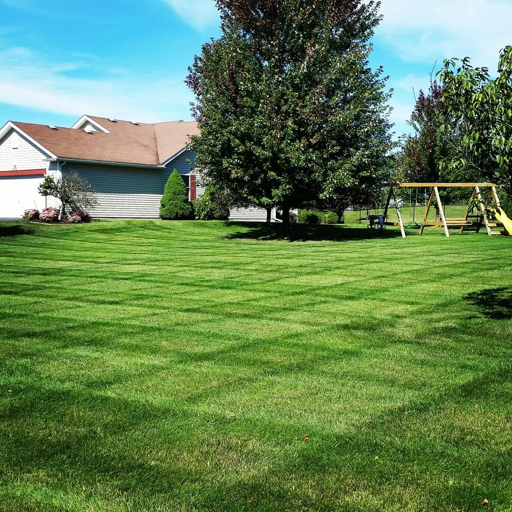 Professional yard maintenance in West Henrietta, NY - Pahuta Lawn Care