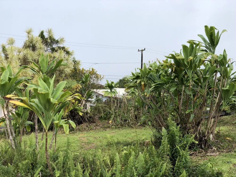 Trusted landscaping services experts serving Hilo, HI - Paiea Landscape Services