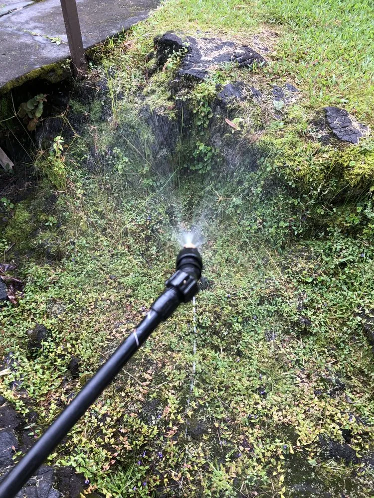 Expert yard cleanup service experts serving Hilo, HI - Paiea Landscape Services