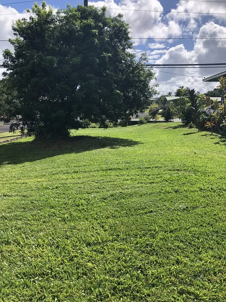 Trusted garden landscaping for beautiful yards in Hilo, HI by Paiea Landscape Services