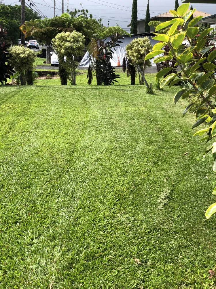 Local lawn care service in Hilo, HI - Paiea Landscape Services