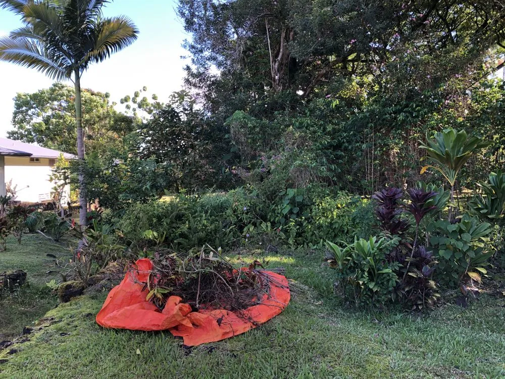 Professional yard cleanup service experts serving Hilo, HI - Paiea Landscape Services