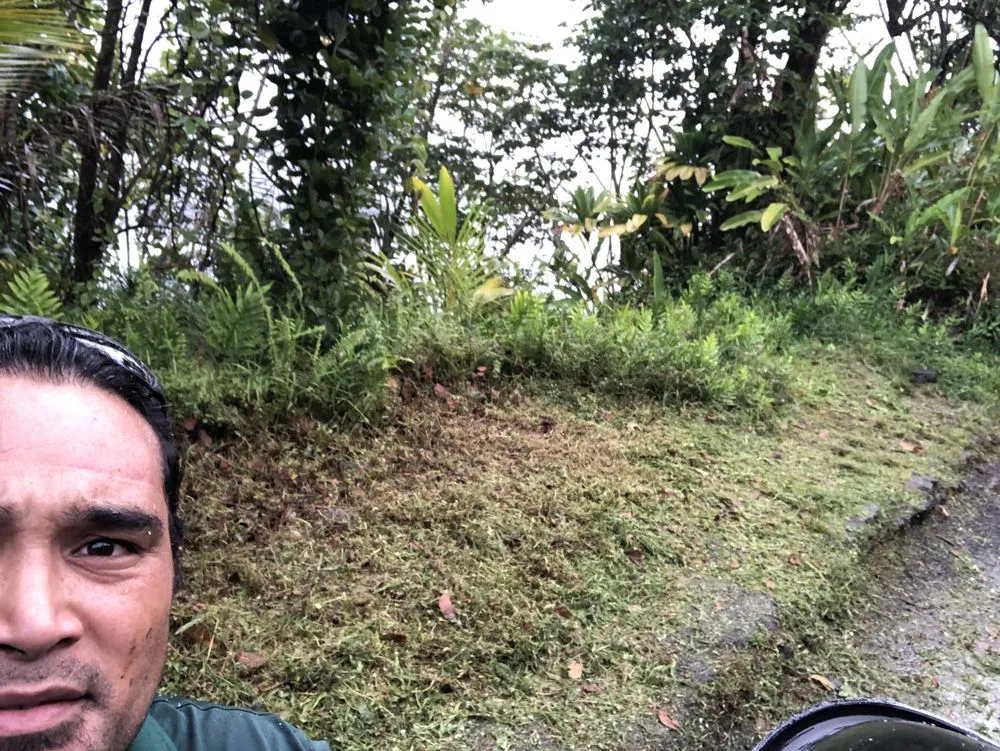 Custom outdoor landscaping in Hilo, HI by Paiea Landscape Services