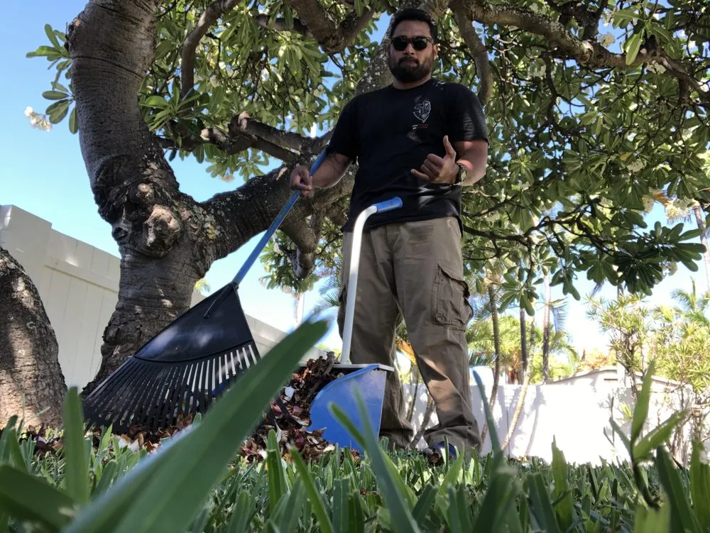 Custom yard cleanup service near you in Hilo, HI by Paiea Landscape Services