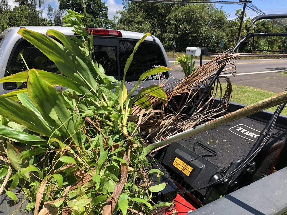 Trusted residential landscaping for year-round maintenance in Hilo, HI by Paiea Landscape Services