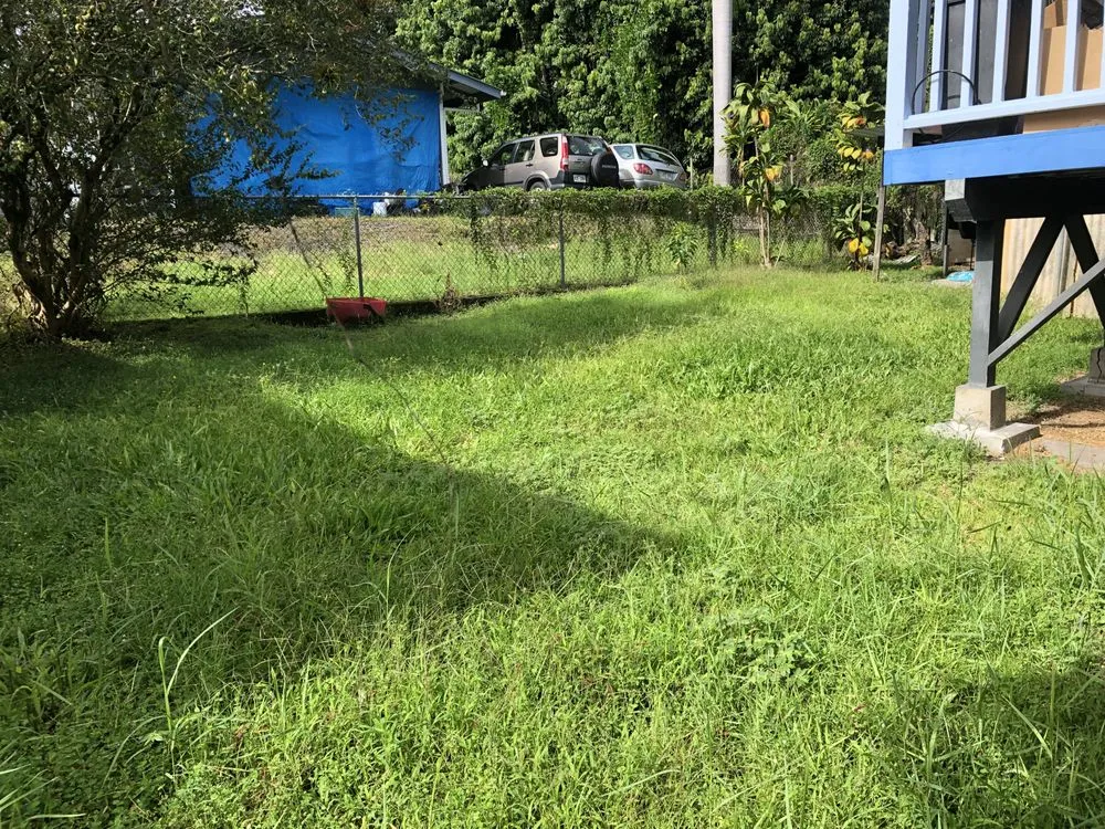 Affordable lawn care service in Hilo, HI - Paiea Landscape Services