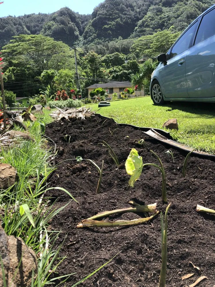 Top-rated landscaping services experts serving Hilo, HI - Paiea Landscape Services