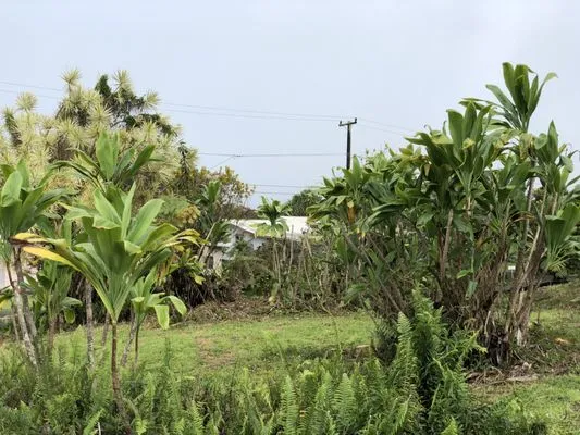 Paiea Landscape Services