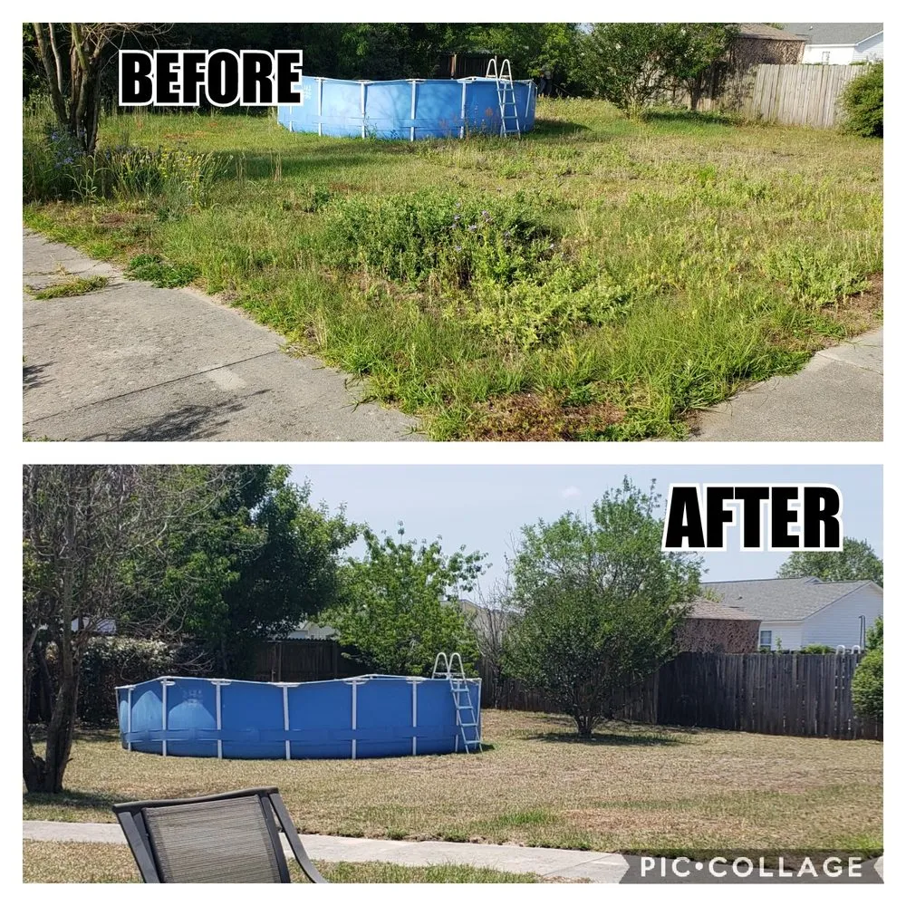 Top-rated landscape installation in Jacksonville, NC - Pain In The Grass Lawn Service