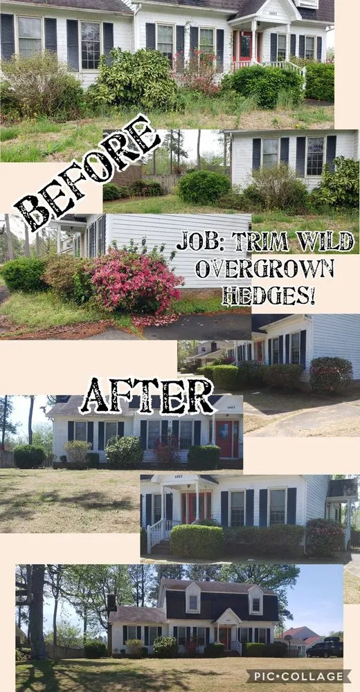 Affordable yard maintenance in Jacksonville, NC by Pain In The Grass Lawn Service