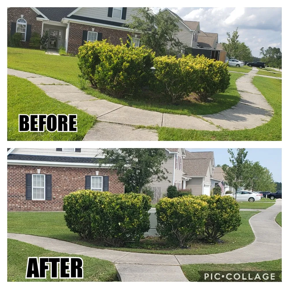 Expert landscape design for outdoor upgrades in Jacksonville, NC by Pain In The Grass Lawn Service