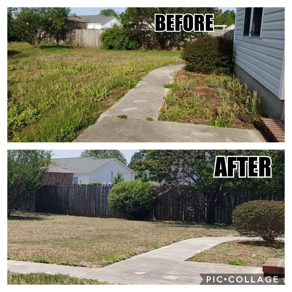 Custom yard maintenance in Jacksonville, NC by Pain In The Grass Lawn Service