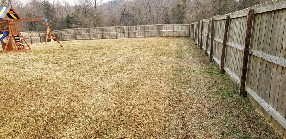 Expert residential landscaping experts serving Jacksonville, NC - Pain In The Grass Lawn Service