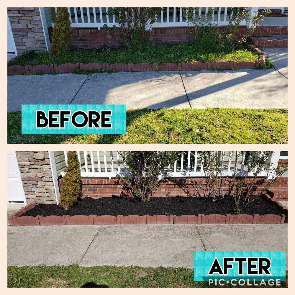 Top-rated lawn care service for year-round maintenance in Jacksonville, NC by Pain In The Grass Lawn Service