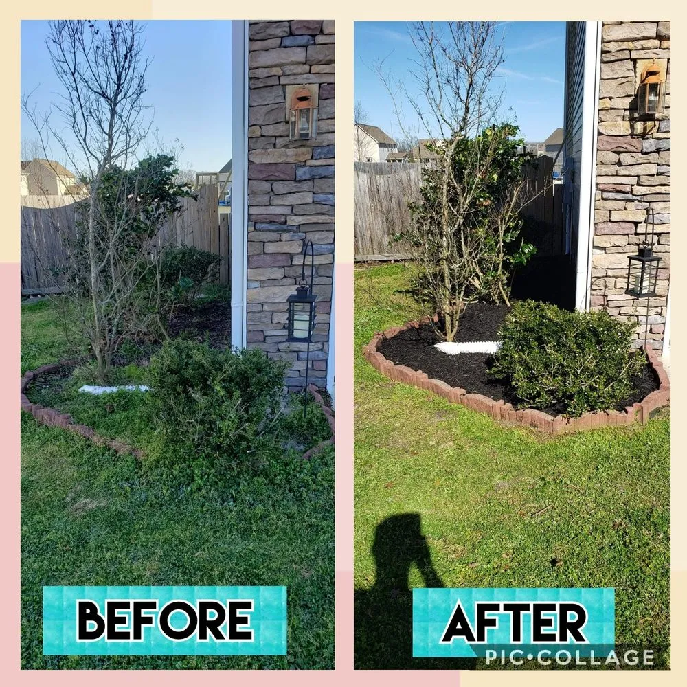 Reliable yard maintenance in Jacksonville, NC - Pain In The Grass Lawn Service