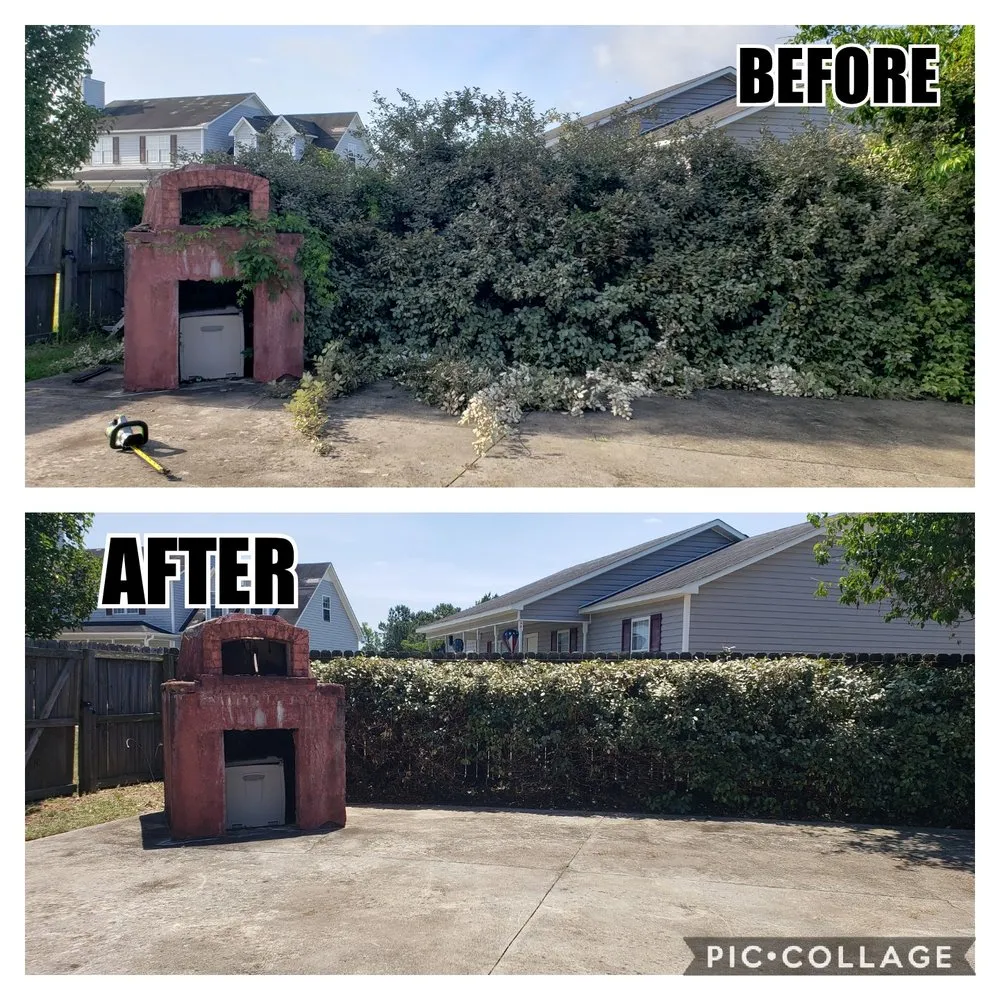 Local yard cleanup service in Jacksonville, NC - Pain In The Grass Lawn Service