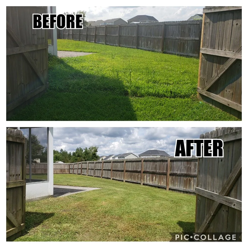 Expert landscape design for residential properties in Jacksonville, NC by Pain In The Grass Lawn Service