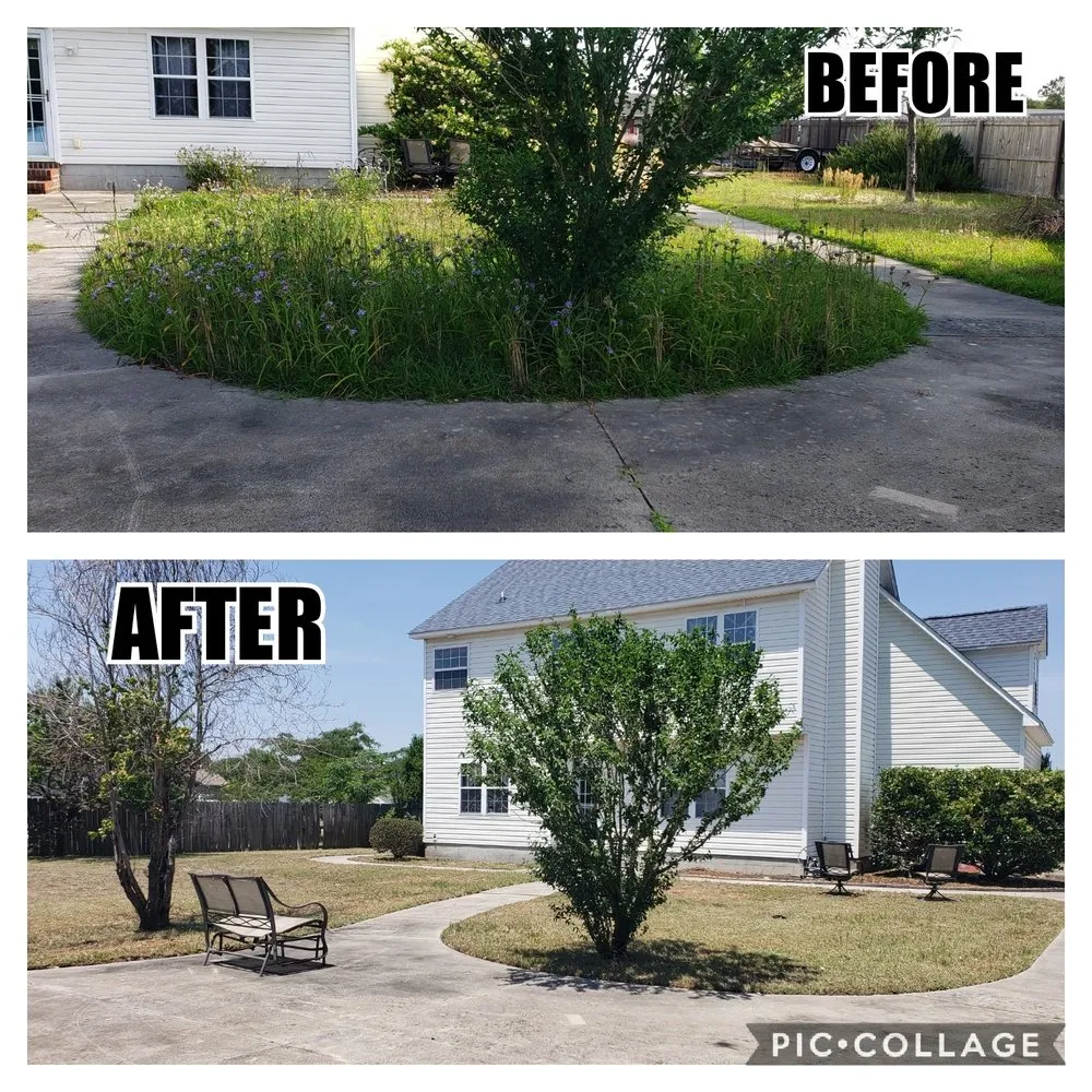 Trusted outdoor landscaping in Jacksonville, NC - Pain In The Grass Lawn Service