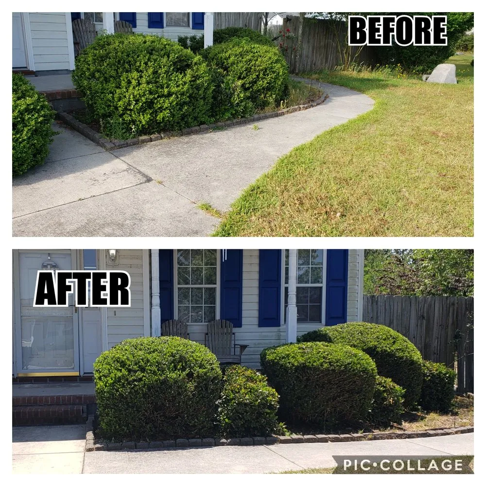 Affordable landscaping services in Jacksonville, NC by Pain In The Grass Lawn Service
