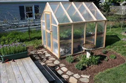 Pain In The Grass Logo