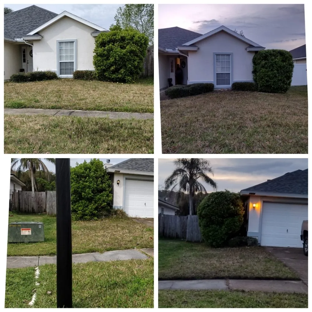 Reliable outdoor landscaping in Middleburg, FL by Painless Maintenance