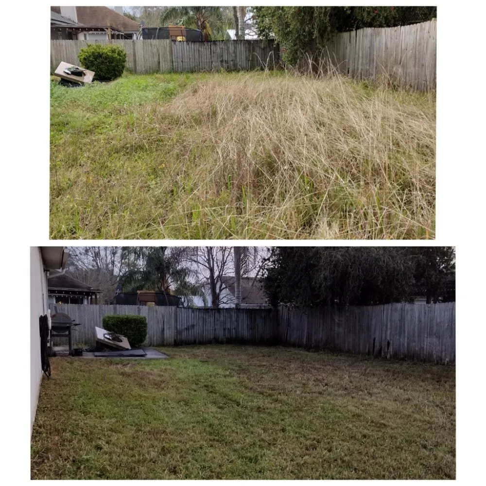 Trusted lawn mowing service for homes across Middleburg, FL - Painless Maintenance