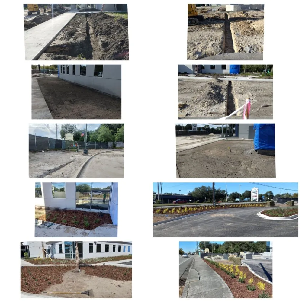 Trusted residential landscaping for beautiful yards across Middleburg, FL - Painless Maintenance