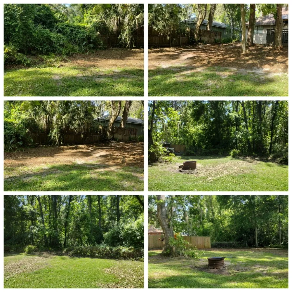 Reliable landscape installation with custom design in Middleburg, FL by Painless Maintenance