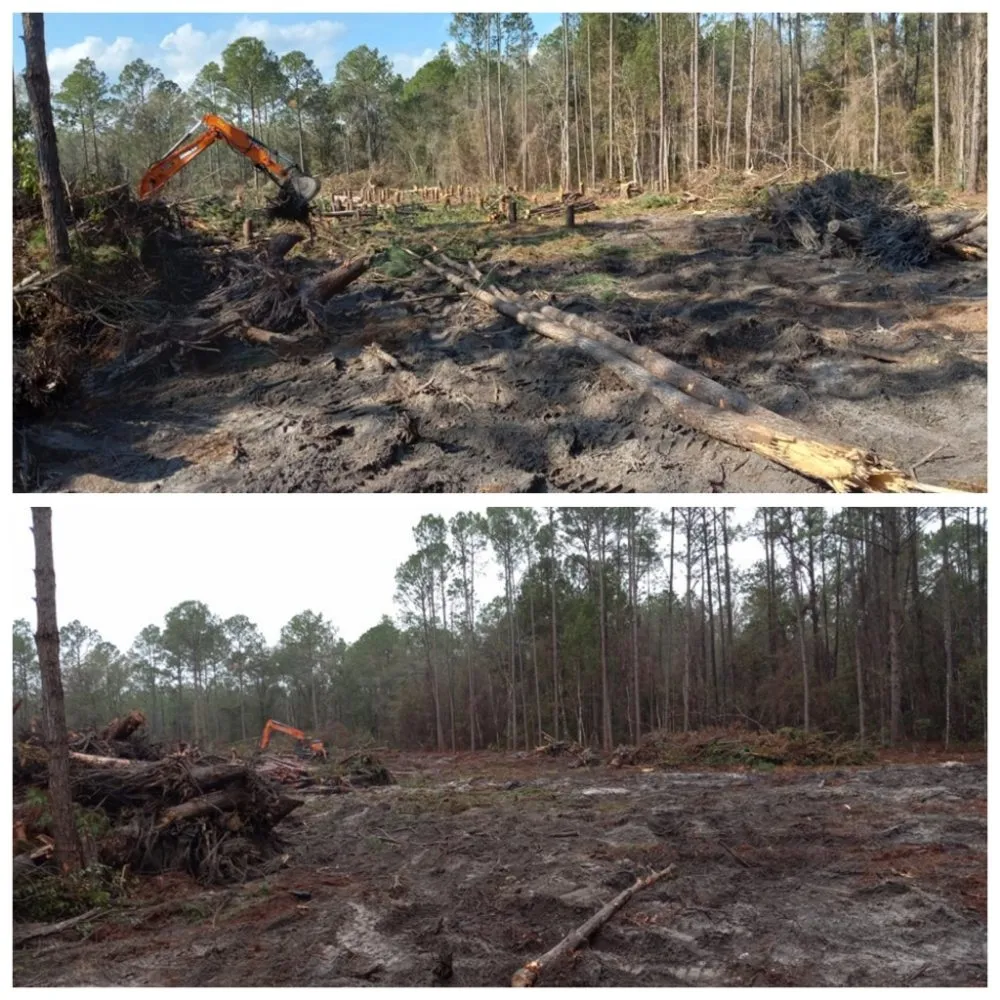 Professional landscape installation experts serving Middleburg, FL - Painless Maintenance