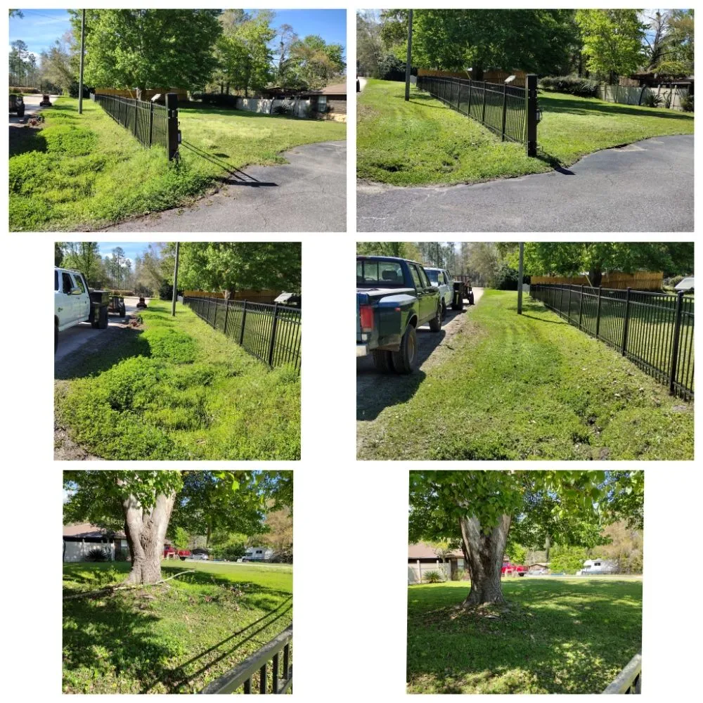 Trusted landscape installation near you in Middleburg, FL by Painless Maintenance
