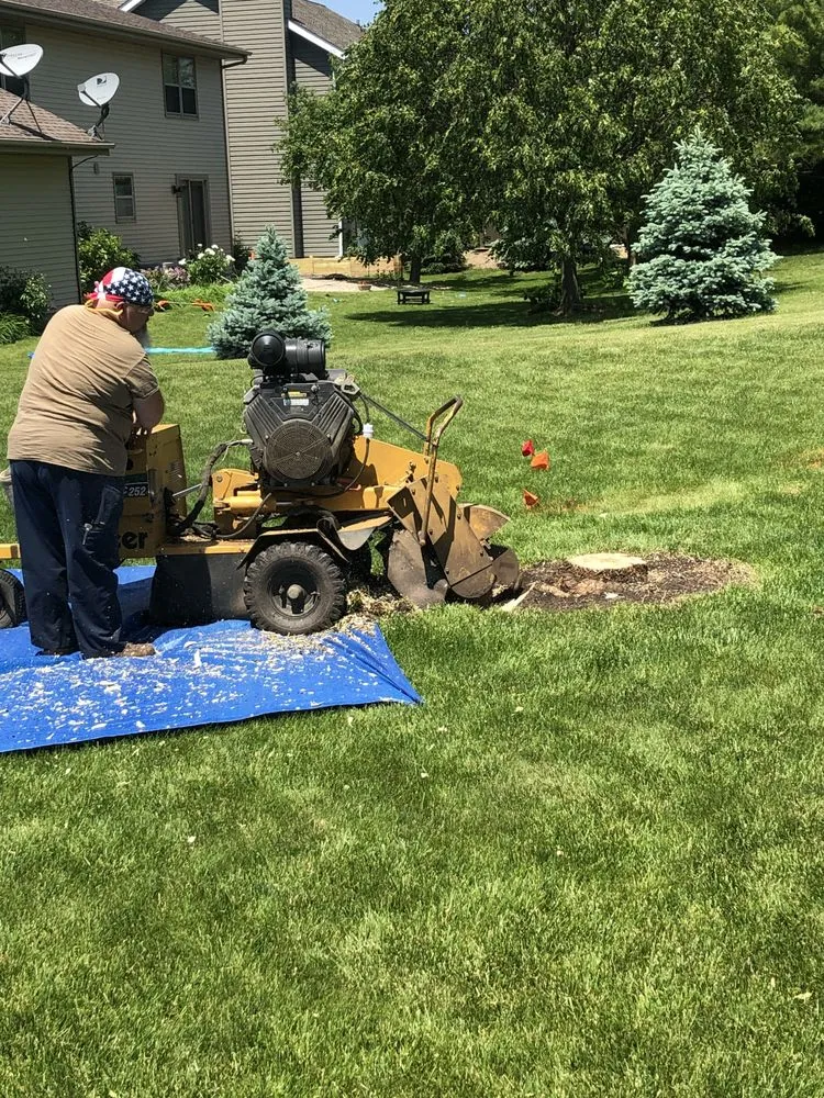 Reliable landscaping services for year-round maintenance in Eden, WI by Painless Stump Grinding