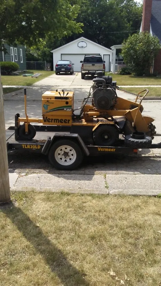 Trusted residential landscaping for residential properties in Eden, WI by Painless Stump Grinding