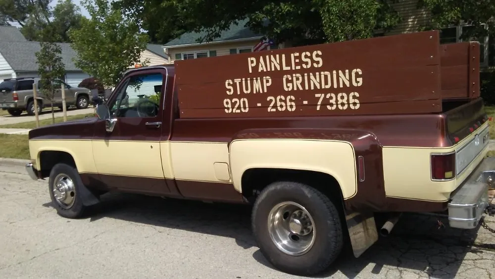 Top-rated outdoor landscaping in Eden, WI - Painless Stump Grinding