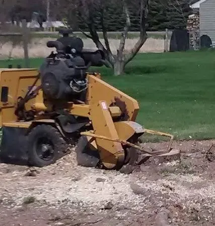 Custom landscaping services in Eden, WI - Painless Stump Grinding